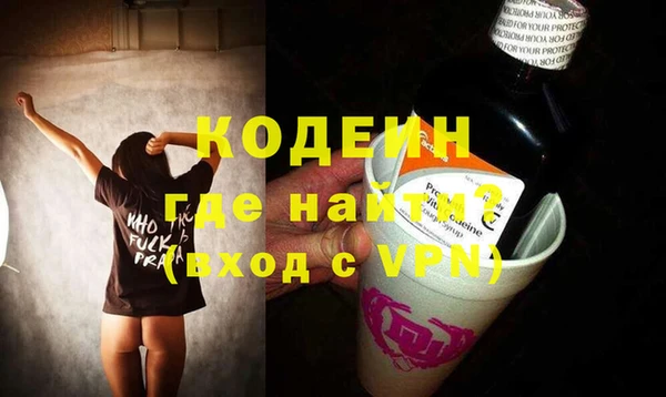 индика Медногорск