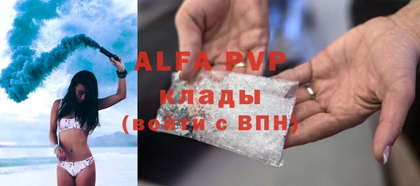 PSILOCYBIN Медвежьегорск
