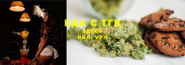 индика Медногорск