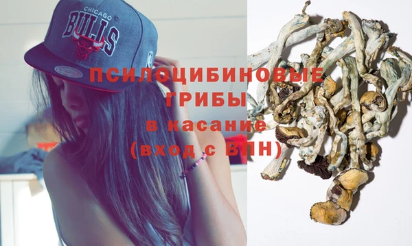 индика Медногорск