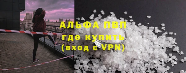 PSILOCYBIN Медвежьегорск