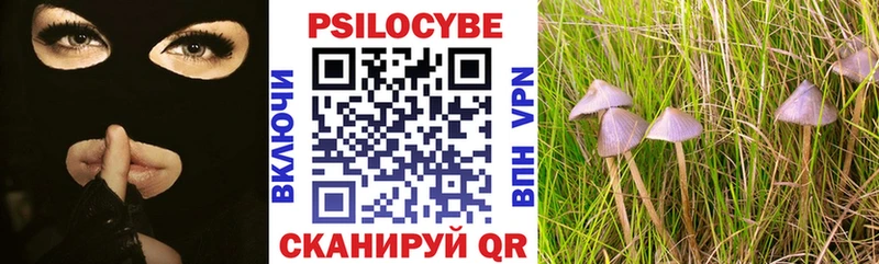Псилоцибиновые грибы MAGIC MUSHROOMS цена наркотик Старый Крым
